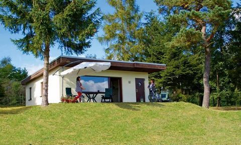 Este pequeño parque familiar está situado en el corazón de Eifel, donde vastos bosques, pueblos pintorescos, profundos lagos de cráter y angostos valles constituyen el paisaje. Además de su ubicación única, la atmósfera y la genialidad ayudan a conve...